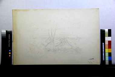 ヴェヌヴェルの野