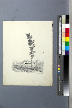 《樹と村の小寺院》の画稿（b） 画像