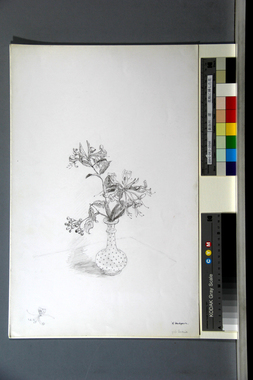 花瓶に挿した花 画像