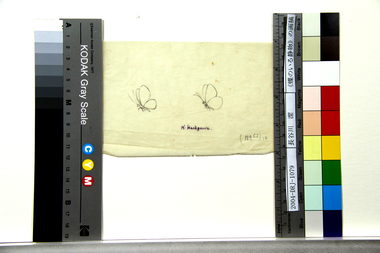 《蝶のいる静物》の画稿 画像