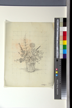 《コップに挿した野花》の画稿 画像