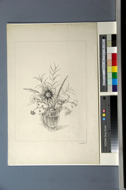 コップに挿した野花 画像