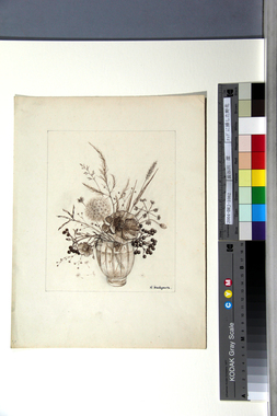 コップに挿した野花 画像