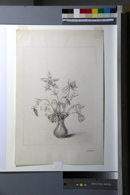 《コップに挿したアンコリの花（過去、現在、未来）》の画稿（b） 画像