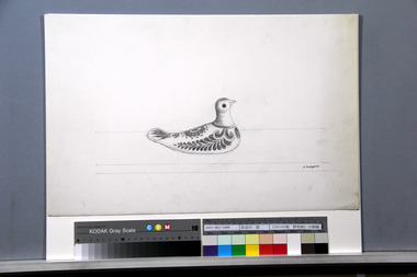 《メキシコの鳩　静物画》の画稿 画像