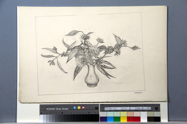 花瓶に挿した野花 画像