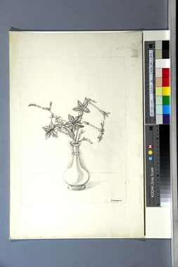 花瓶に挿した野花 画像