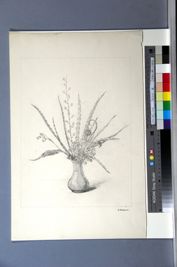 花瓶に挿した野花 画像