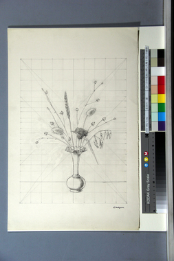 《オパリンの花瓶に挿した種子草》の画稿 画像