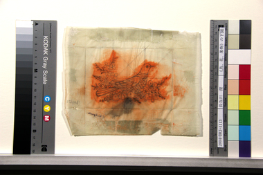 《鳥、花、果物》の下図 画像