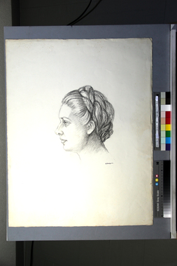 髪を編んだ女の横顔（a） 画像