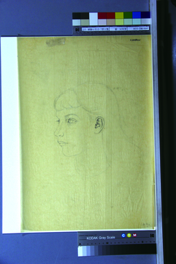 髪の長い少女の横顔（c） 画像