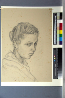 椅子に座る女性（頭部） 画像