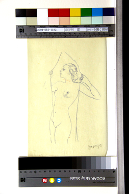 カーテンを開く裸婦 画像