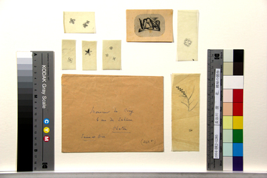 花、裸婦の習作 画像