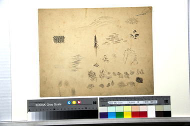 習作（樹木） 画像