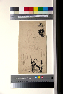 習作（樹木） 画像