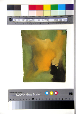 色の実験（黄、緑、黒） 画像