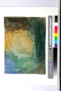 色の実験（緑、茶、青、黄） 画像