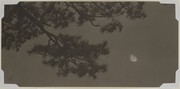 松と月 画像