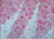 Tones of Conversation II 画像