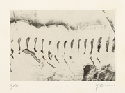 版画集『1959』 No. 8 画像