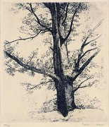 Tree: After a Sketch by Redon, frontispiece for the poetry book "Aishiau danjo" (Man and Woman Loving Each Other)