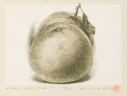 日記：1990年1月10日