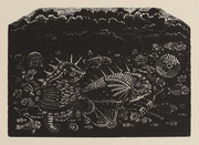 魚のカーニバル