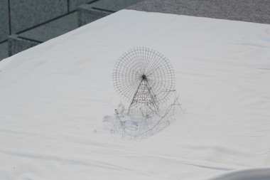 アウト・オブ・ディスオーダー（コスモワールド） 画像