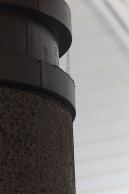 アウト・オブ・ディスオーダー（夜ノ森線） 画像