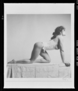 リサ・ライオン 画像