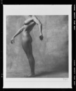 リサ・ライオン 画像