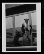 六代目菊五郎 鳥羽絵 画像