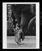 六代目菊五郎 藤娘 画像