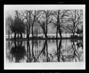 杭州 西湖 画像